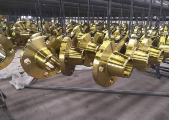Flanges de tubos de aço de soldagem deslizantes para conexões de diafragma NBR/Viton