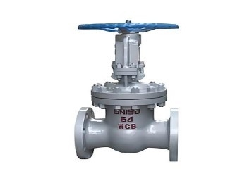 Válvula de porta de aço manual DN10-DN50