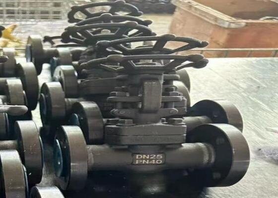 Válvula de porta de aço manual com capô parafusado DN10-DN50 150lb-1500lb Alta resistência à corrosão