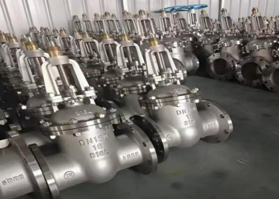 Válvula de porta de aço padrão API com operação manual e capô para ambientes industriais adversos